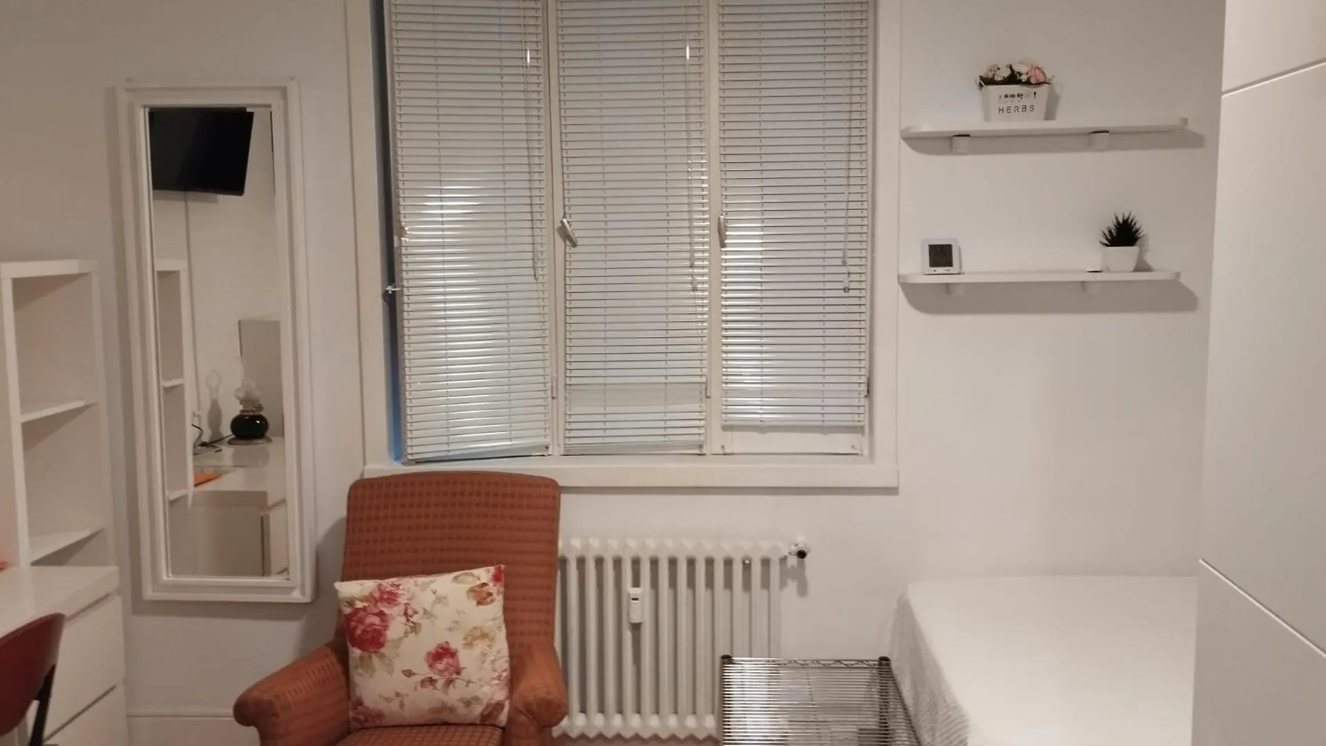Homestay Ubicacion Perfecta/Bano Privado Apartment San Sebastian Spain